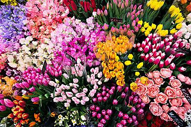 《生化危机7》iOS版发售预告 有自动射击功能